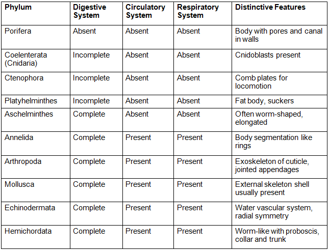 Most Important Diagrams Class 11 Biology (Zoology) for NEET 2026 Biology Exam Preparation