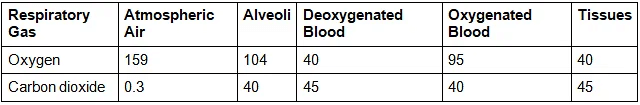 Most Important Diagrams Class 11 Biology (Zoology) for NEET 2026 Biology Exam Preparation