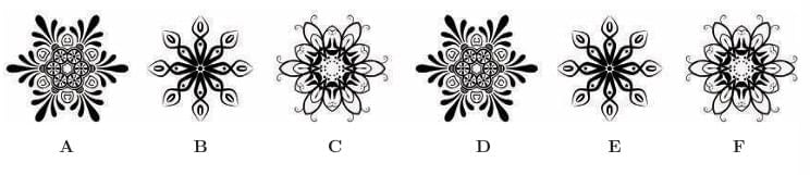 NCERT Solutions for Class 7 Maths Chapter 4 Expressions Using Letter- Numbers