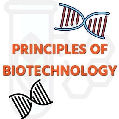 Principles of Biotechnology