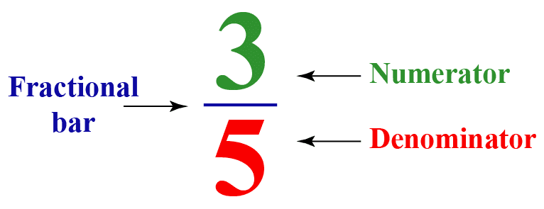 Worksheet Solutions: Fractions | Mathematics for Class 3