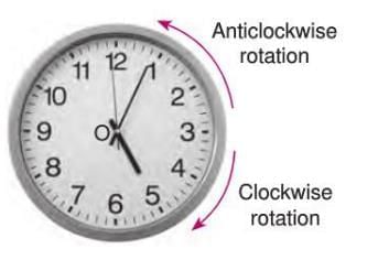 Symmetry, Reflection, and Rotation Chapter Notes | Mathematics Class 7 ICSE