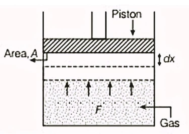 Thermodynamics | Physics Class 11 - NEET