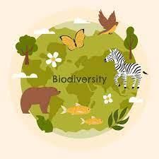 Class 5 Science - Our Environment - CBSE Worksheets - 2