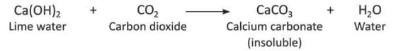 Carbon and Its Compounds Chapter Notes | Chemistry Class 8 ICSE