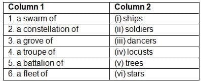Magnifying Glass NCERT Solutions | English Poorvi Class 8 - New NCERT