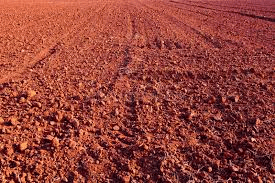 Classification of Indian soils | General Awareness - Bank Exams