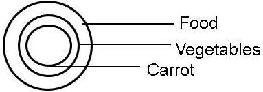 Practice Questions: Logical Venn Diagram | Logical Reasoning for CLAT