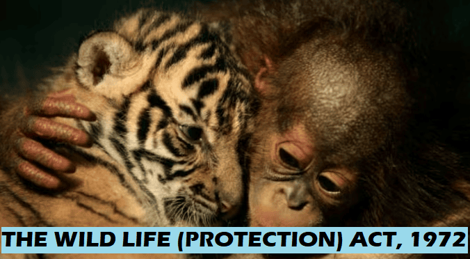 The Wildlife Protection Act, 1972 | Environmental Law - CLAT PG