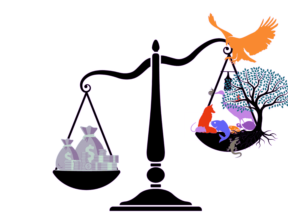 Overview: International Environmental Law | Environmental Law - CLAT PG