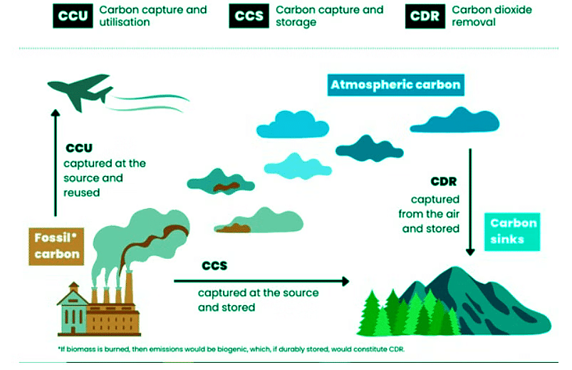 Environment and Ecology: December 2023 Current Affairs | Current Affairs & General Knowledge - CLAT