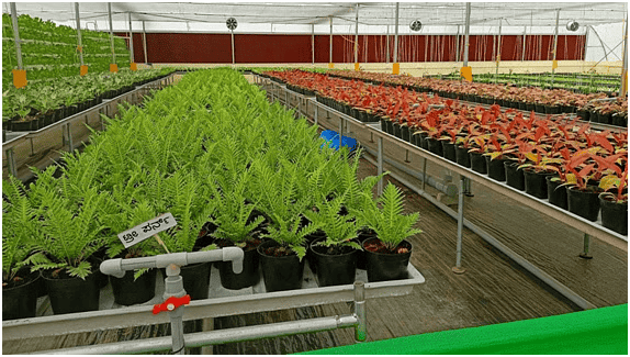 Environment and Ecology: August 2024 Current Affairs | General Test Preparation for CUET UG - CUET Commerce