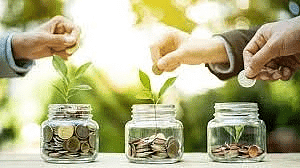 Environment and Ecology: May 2024 Current Affairs | General Test Preparation for CUET UG - CUET Commerce