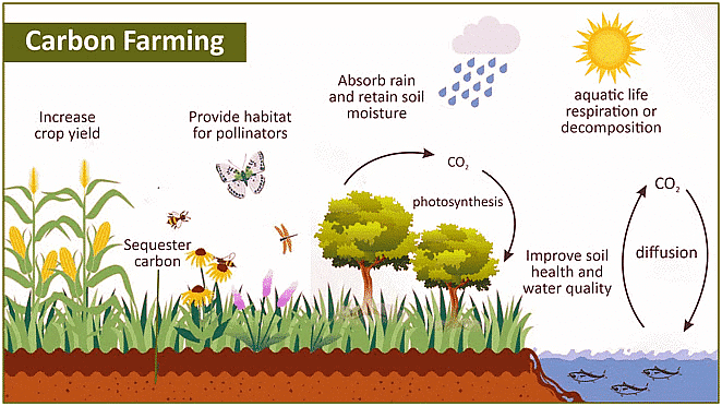 Environment and Ecology: May 2024 Current Affairs | General Test Preparation for CUET UG - CUET Commerce