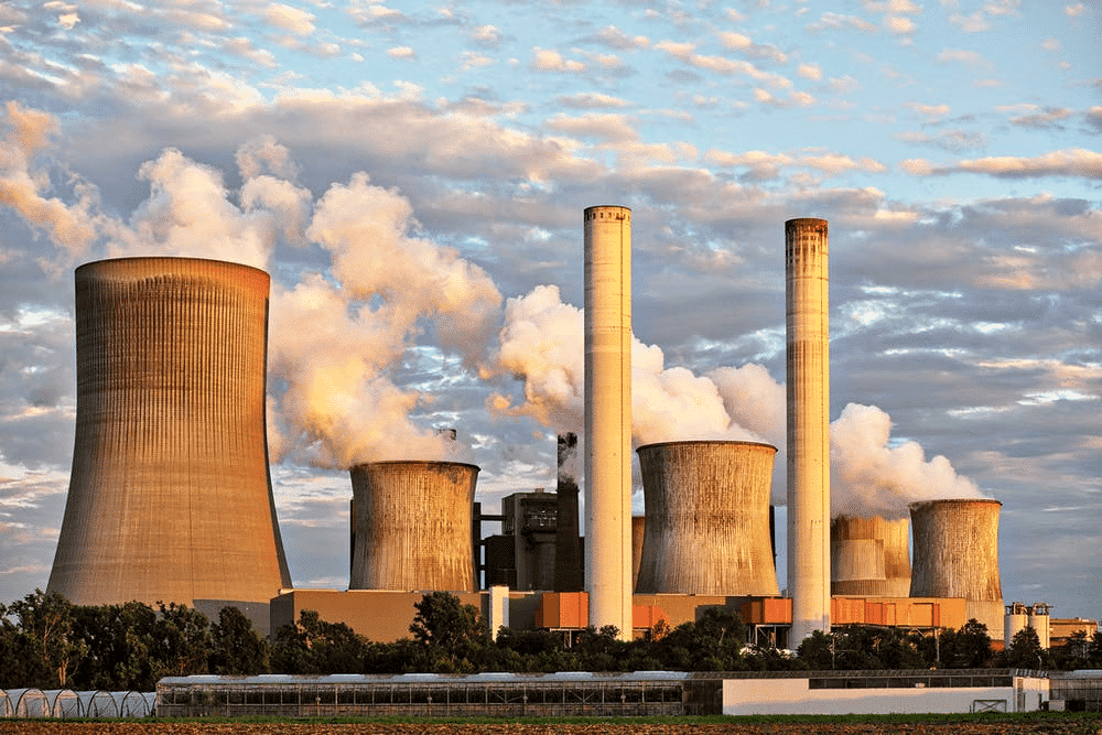 Environment and Ecology: March 2025 Current Affairs | General Test Preparation for CUET UG - CUET Commerce