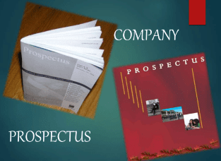 Prospectus | Company Law - CLAT PG