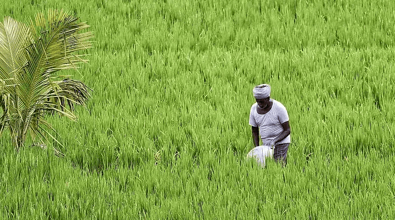 Economic Development: September 2024 Current Affairs | General Test Preparation for CUET UG - CUET Commerce