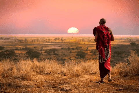Environment and Ecology: January 2025 Current Affairs | Current Affairs & General Knowledge - CLAT