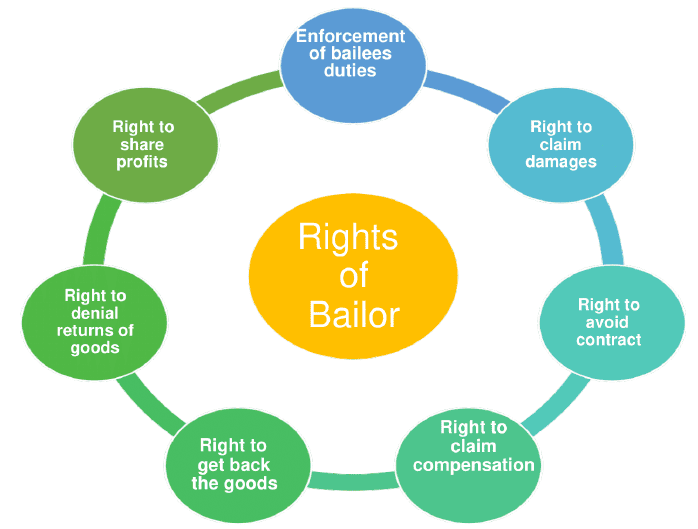 Bailor`s Rights 
