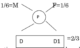 Distribution of Assets Among Remoter Lineal Descendants