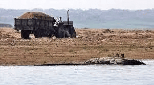 Environment and Ecology: May 2024 Current Affairs | General Test Preparation for CUET UG - CUET Commerce