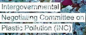 Environment and Ecology: May 2024 Current Affairs | General Test Preparation for CUET UG - CUET Commerce