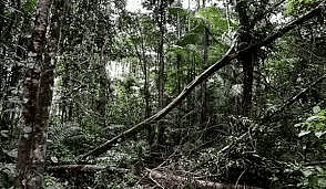 Environment and Ecology: May 2024 Current Affairs | General Test Preparation for CUET UG - CUET Commerce