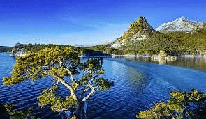 Environment and Ecology: July 2024 Current Affairs | Current Affairs & General Knowledge - CLAT