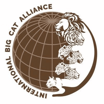 Environment and Ecology: February 2025 Current Affairs | General Test Preparation for CUET UG - CUET Commerce