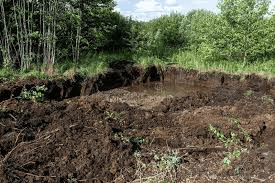 Classification of Indian soils | General Awareness - Bank Exams