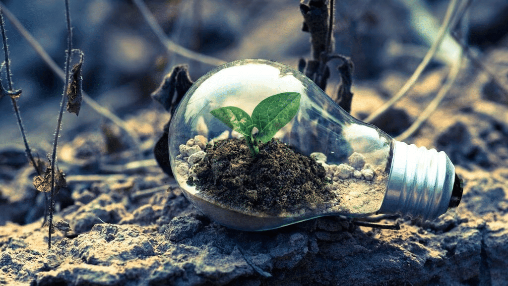 Contemporary Issues and Emerging Trends | Environmental Law - CLAT PG