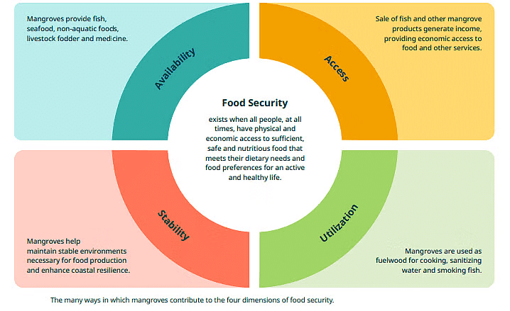 Environment and Ecology: August 2024 Current Affairs | General Test Preparation for CUET UG - CUET Commerce