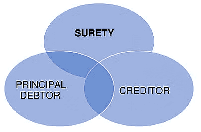 Parties to the Contract of Guarantee (Section 126)