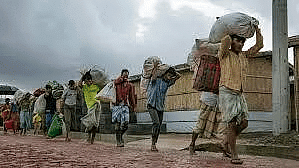 Environment and Ecology: May 2024 Current Affairs | General Test Preparation for CUET UG - CUET Commerce