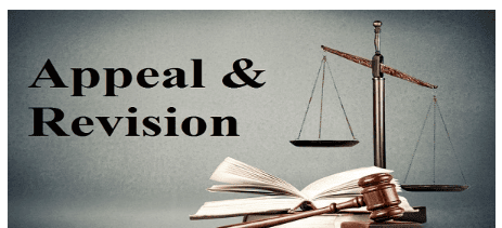 Appeals in Family Court Decisions