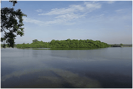 Environment and Ecology: February 2024 Current Affairs | Current Affairs & General Knowledge - CLAT