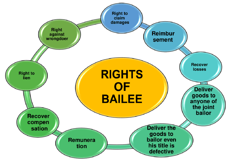 Bailee`s Rights 