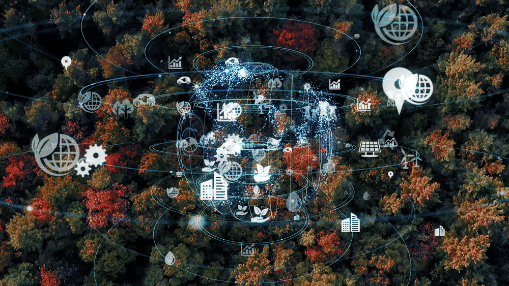 Environment and Ecology: May 2025 Current Affairs | Current Affairs & General Knowledge - CLAT