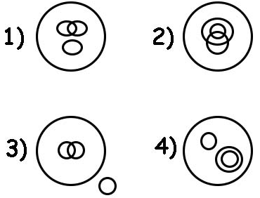 Practice Questions: Logical Venn Diagram | Logical Reasoning for CLAT