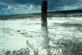 Classification of Indian soils | General Awareness - Bank Exams