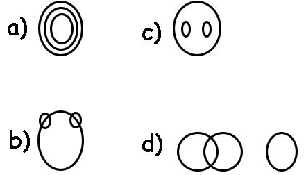Practice Questions: Logical Venn Diagram | Logical Reasoning for CLAT