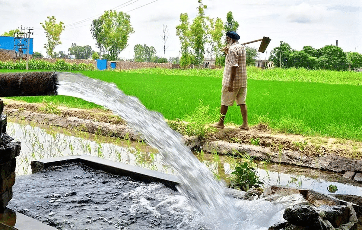 Environment and Ecology: October 2024 Current Affairs | General Test Preparation for CUET UG - CUET Commerce