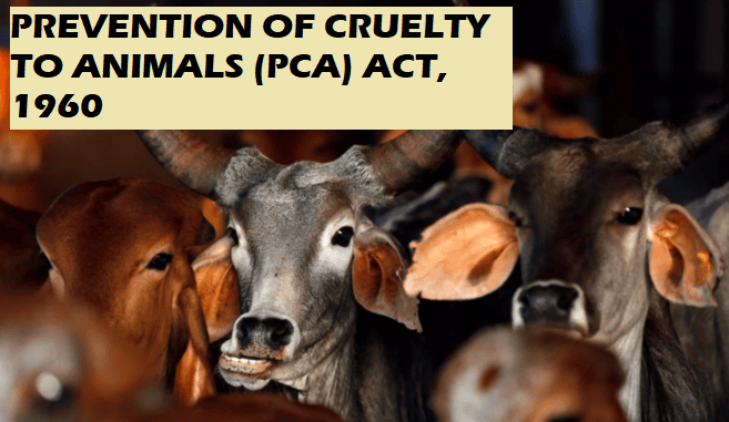 Prevention of Cruelty to Animals Act,1960 | Environmental Law - CLAT PG