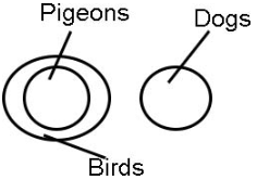 Practice Questions: Logical Venn Diagram | Logical Reasoning for CLAT