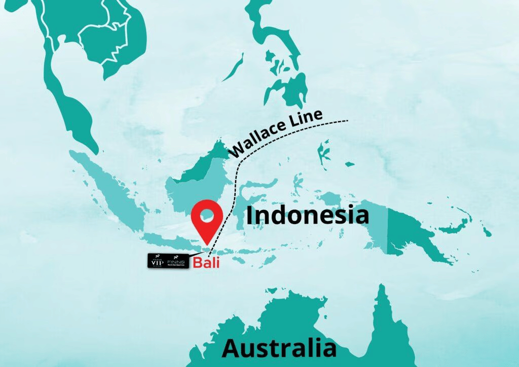 Geography: March 2025 Current Affairs | General Test Preparation for CUET UG - CUET Commerce
