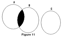Syllogism | Logical Reasoning for CLAT