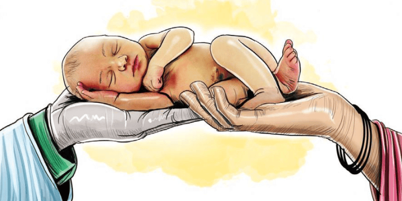 Hindu Adoptions and Maintenance Act, 1956 | Family Law - CLAT PG