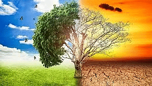 Environment and Ecology: July 2024 Current Affairs | Current Affairs & General Knowledge - CLAT