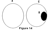 Syllogism | Logical Reasoning for CLAT