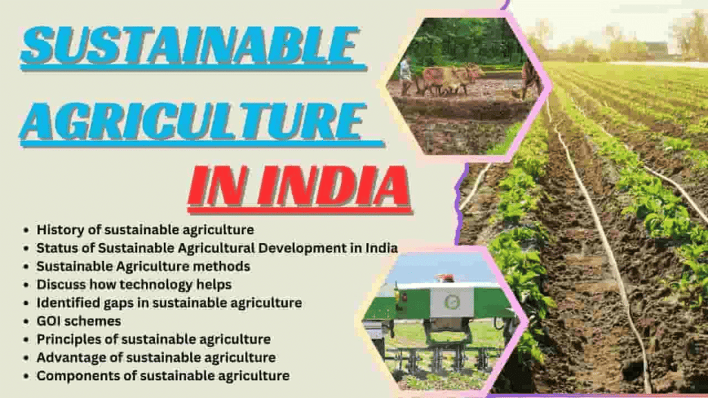 Economic Development: February 2025 Current Affairs | Current Affairs & General Knowledge - CLAT